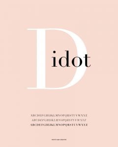 Didot fonts free download by GoDesign.pk
